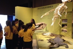 10/08 - Visita ao Museu de Ciências Naturais - PUC