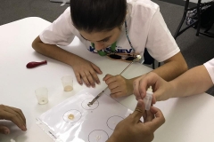 02/11 - aula de Astrobiologia com a Dra petra M Schwendner, cientista alemã que trabalha na University of Florida com pesquisas sobre a microbiologia de Marte.