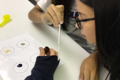 02/11 - aula de Astrobiologia com a Dra petra M Schwendner, cientista alemã que trabalha na University of Florida com pesquisas sobre a microbiologia de Marte.
