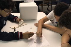 02/11 - aula de Astrobiologia com a Dra petra M Schwendner, cientista alemã que trabalha na University of Florida com pesquisas sobre a microbiologia de Marte.