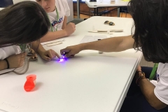 02/11 - aula de Astrobiologia com a Dra petra M Schwendner, cientista alemã que trabalha na University of Florida com pesquisas sobre a microbiologia de Marte.