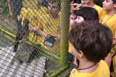 22/08 - Visita guiada ao Museu Mello Leitão