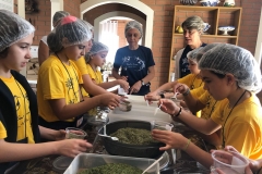 24/08 - Atividades pedagógicas, culturais e lúdicas na Casa de Campo em Santa Teresa