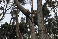 19/7 - Atividade de lazer com foco em trabalho em equipe em um parque da cidade.