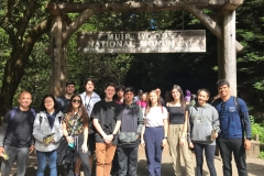 27/7 - Após a conclusão dos trabalhos, dia de relaxar. Visita pela manhã a Muir Woods, um parque nacional com as centenárias árvores mais altas da Califórnia. Depois cruzaram a icônica Golden Gate Bridge e, finalizando, um piquenique na praia.