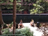 1-after-lunch-some-ice-cream-by-san-antonio-river