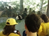5-fomos-visitar-o-zoolgico-de-shangai-para-ver-um-dos-smbolos-da-china-panda